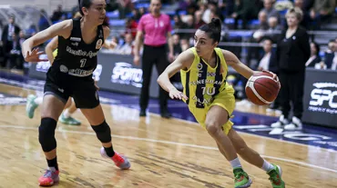 Fenerbahçe Alagöz Holding evinde kazandı