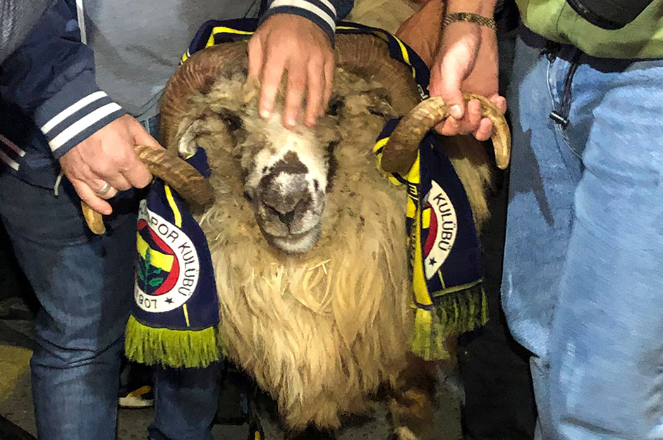 İZLE | Taraftarlardan Trabzonspor'a koçlu karşılama