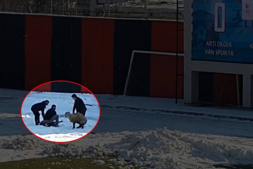 Vanspor-Karacabey maçında kale arkasında yaşananları görenler şok oldu: Sıra dışı olay