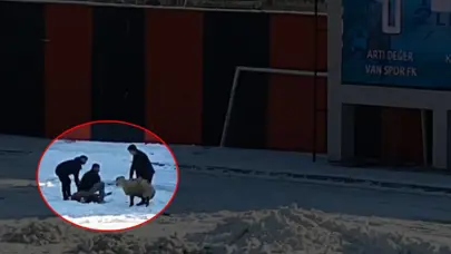 Vanspor-Karacabey maçında kale arkasında yaşananları görenler şok oldu: Sıra dışı olay