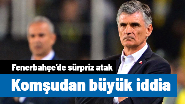 Fenerbahçe'ye sürpriz teknik direktör! İlk görüşme gerçekleşti