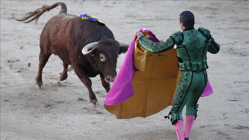 İspanya hükümeti, "Ulusal Boğa Güreşleri Ödülü'nü" kaldırdı