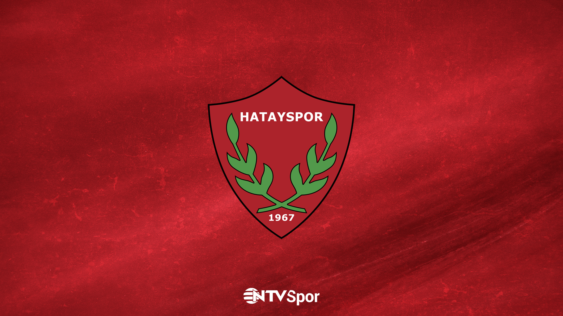 Hatayspor'da istifa