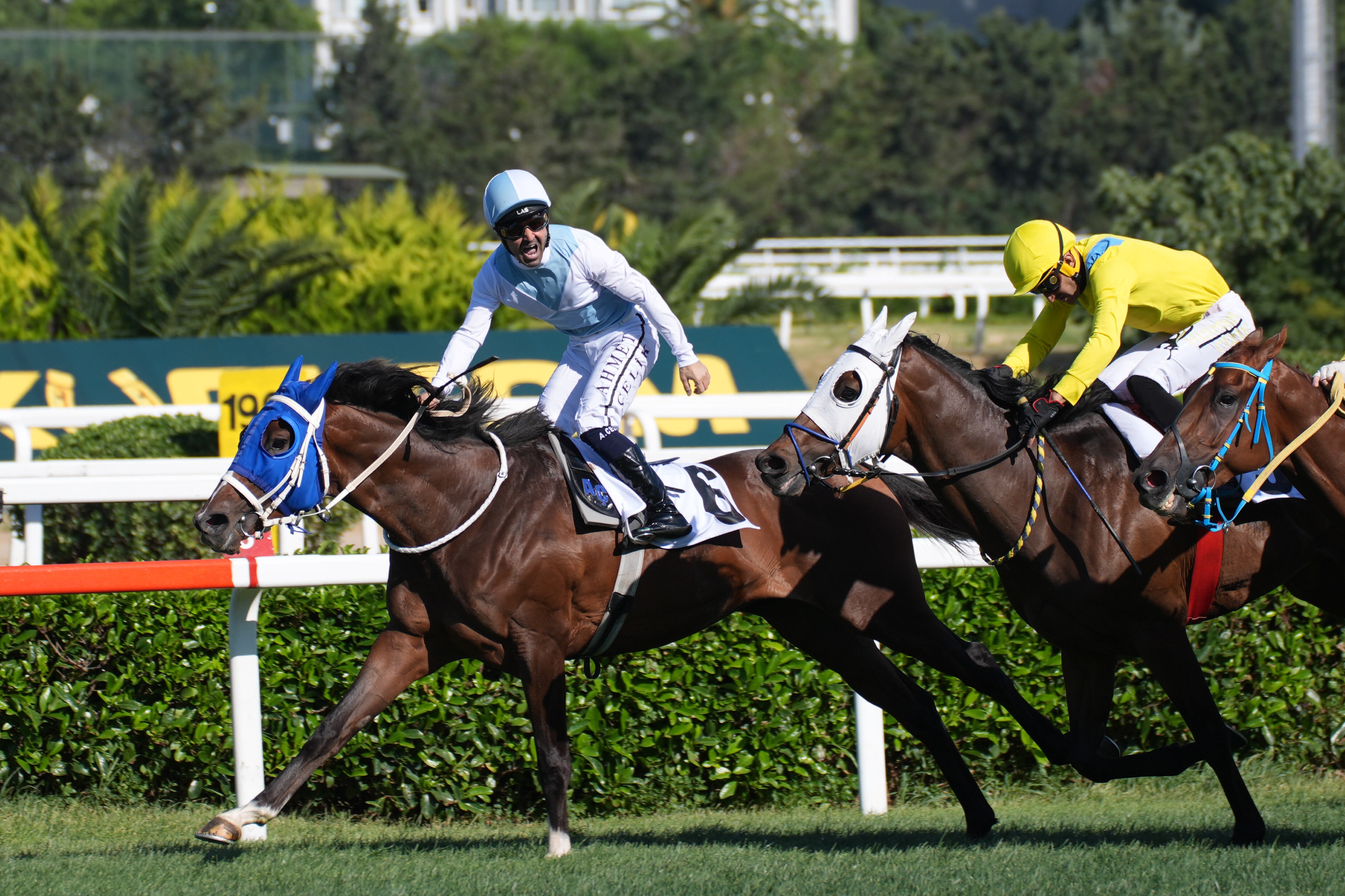 SON DAKİKA | 99. Gazi Koşusu'nun kazananı belli oldu: Tribünler sonucu protesto etti