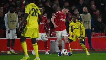 Fenerbahçe'de sakatlık zincirinin son kurbanı Nene oldu