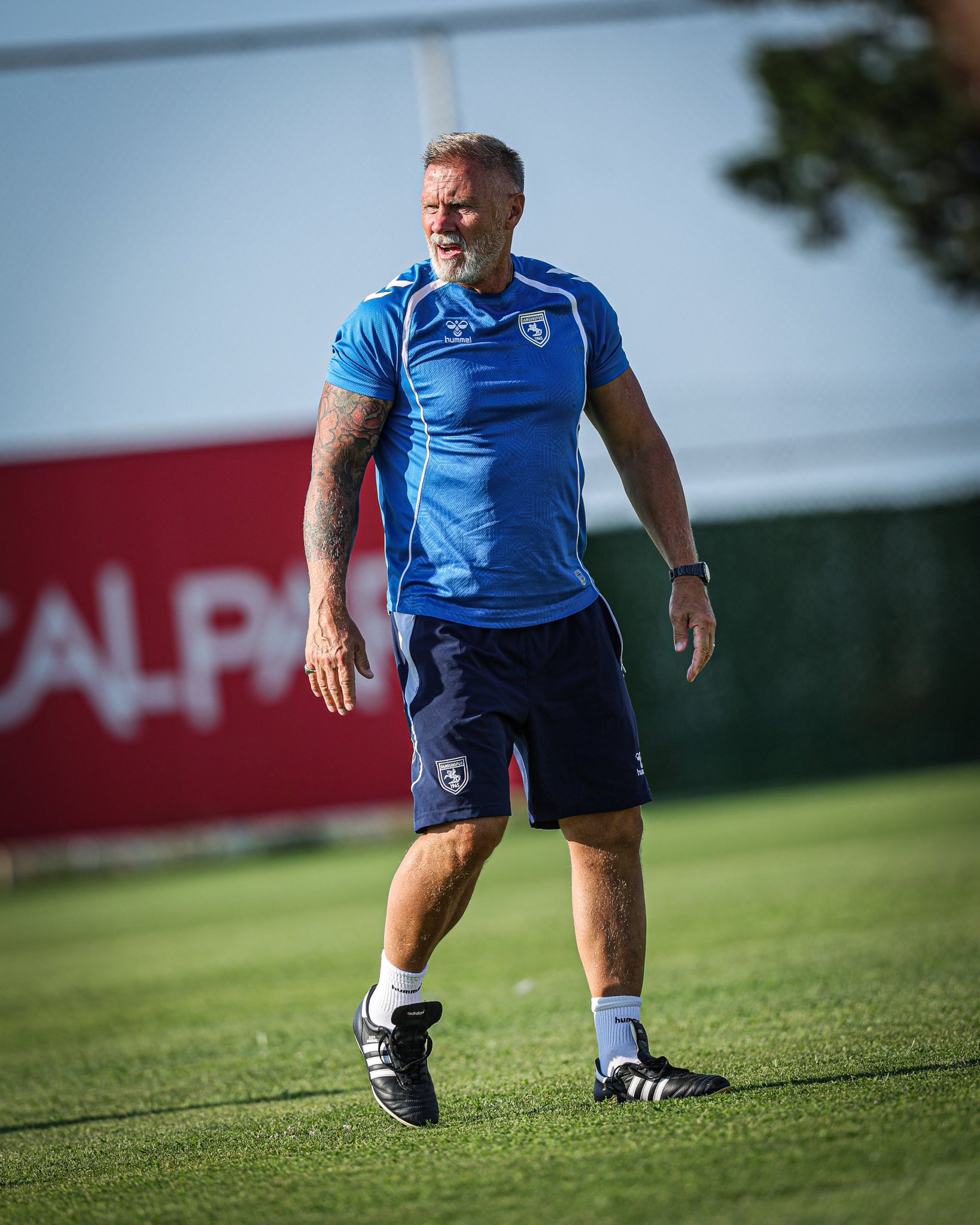 Thorsten Fink'ten transfer müjdesi