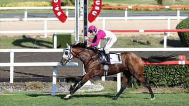 Gazi Koşusu ne zaman, saat kaçta hangi kanalda? 98. Gazi Koşusu birincilik ödülü ne kadar?