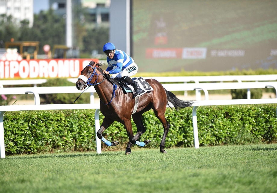 97. Gazi Koşusu'nu Urfa Aslanı kazandı