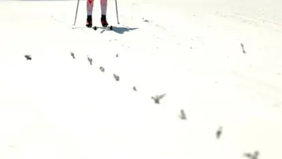 Milli kayakçılardan Yunanistan'da 2 madalya