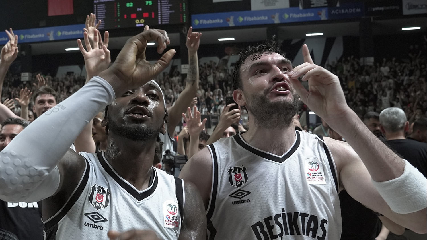 Türkiye Basketbol Federasyonu'ndan Beşiktaş'a ceza