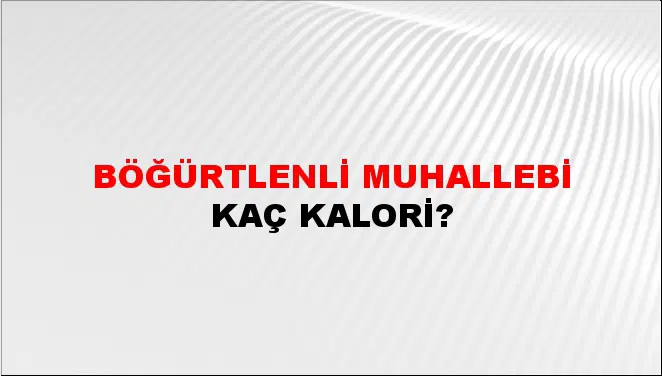 Böğürtlenli Muhallebi Böğürtlenli Muhallebi