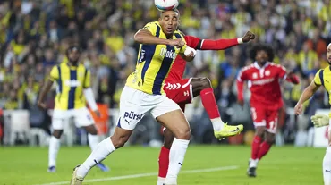 Fenerbahçe'nin en hırçınları Djiku ve Fred