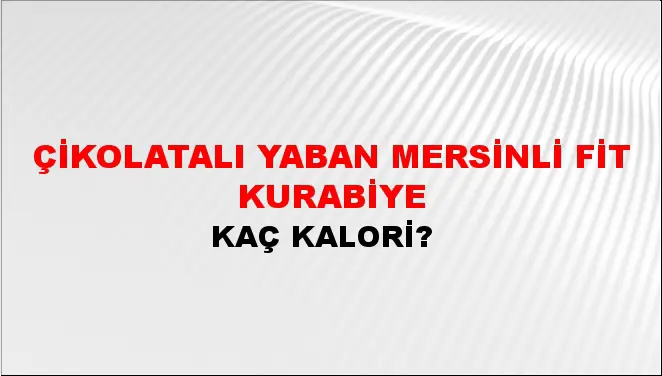 Çikolatalı Yaban Mersinli Fit Kurabiye Çikolatalı Yaban Mersinli Fit Kurabiye