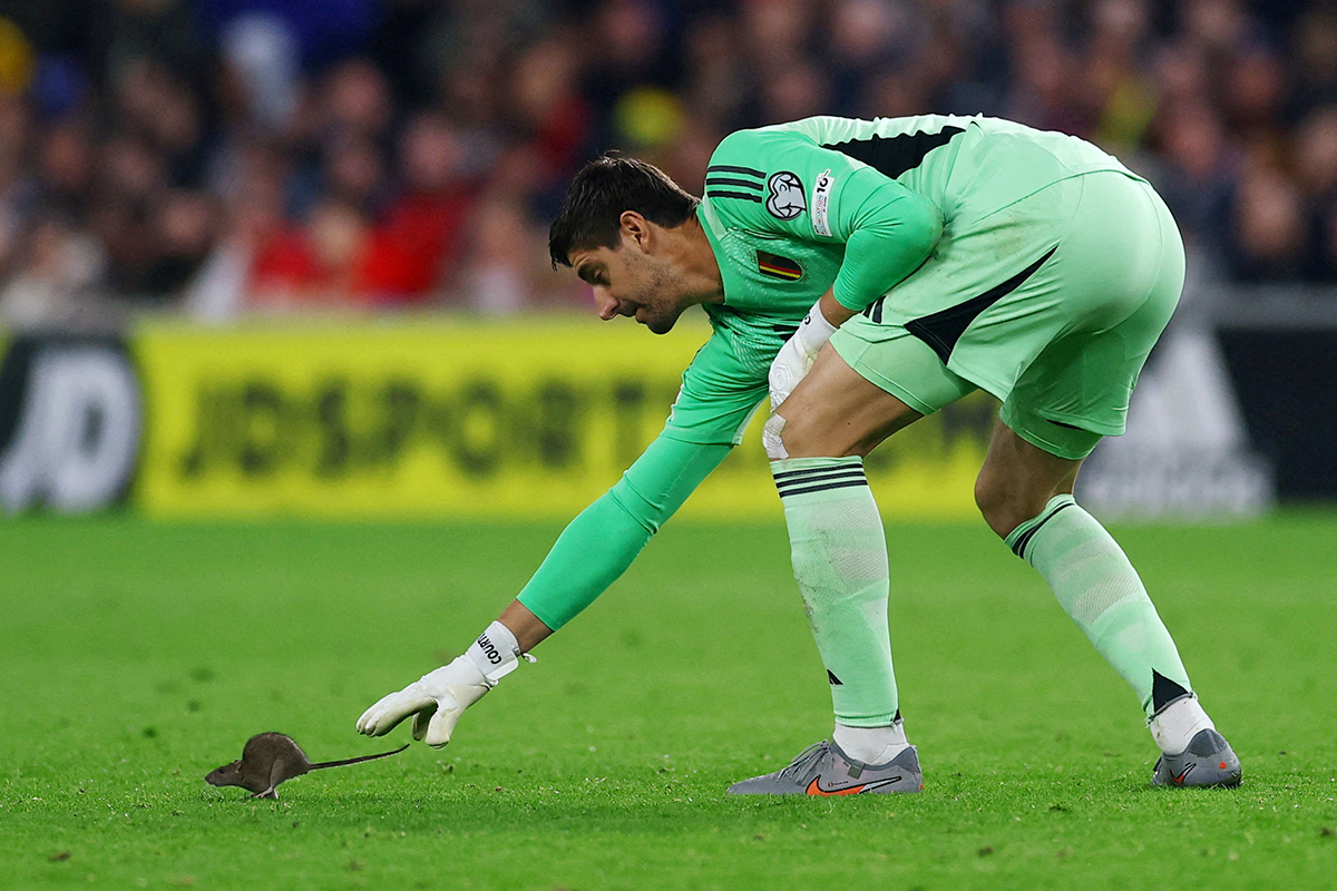 Courtois'nın Yeni Baş Belası: Minik Rakip Sahayı Birbirine Kattı!