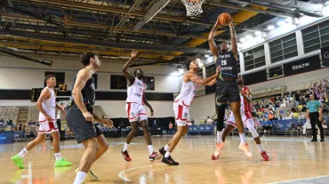 FIBA Şampiyonlar Ligi'ne 4. Türk takımı