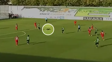 İZLE | Maç sırasında kalp krizi geçiren Ganalı forvet hayatını kaybetti