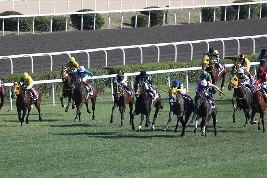 Gazi Koşusu ne zaman, saat kaçta, hangi kanalda? - 6