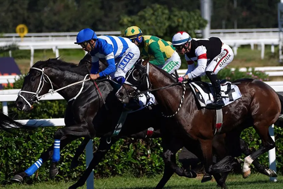 Gazi Koşusu ne zaman, saat kaçta, hangi kanalda? - 4