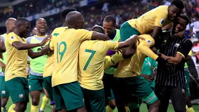 Güney Afrika, Dünya Kupası bileti aldı