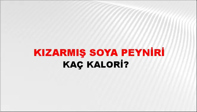 Kızarmış Soya Peyniri Kızarmış Soya Peyniri