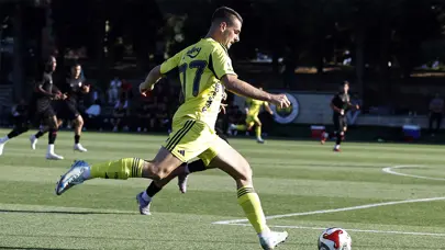 Fenerbahçe, ayrılığı resmen açıkladı: Ognjen Mimovic'in yeni takımını duyurdular