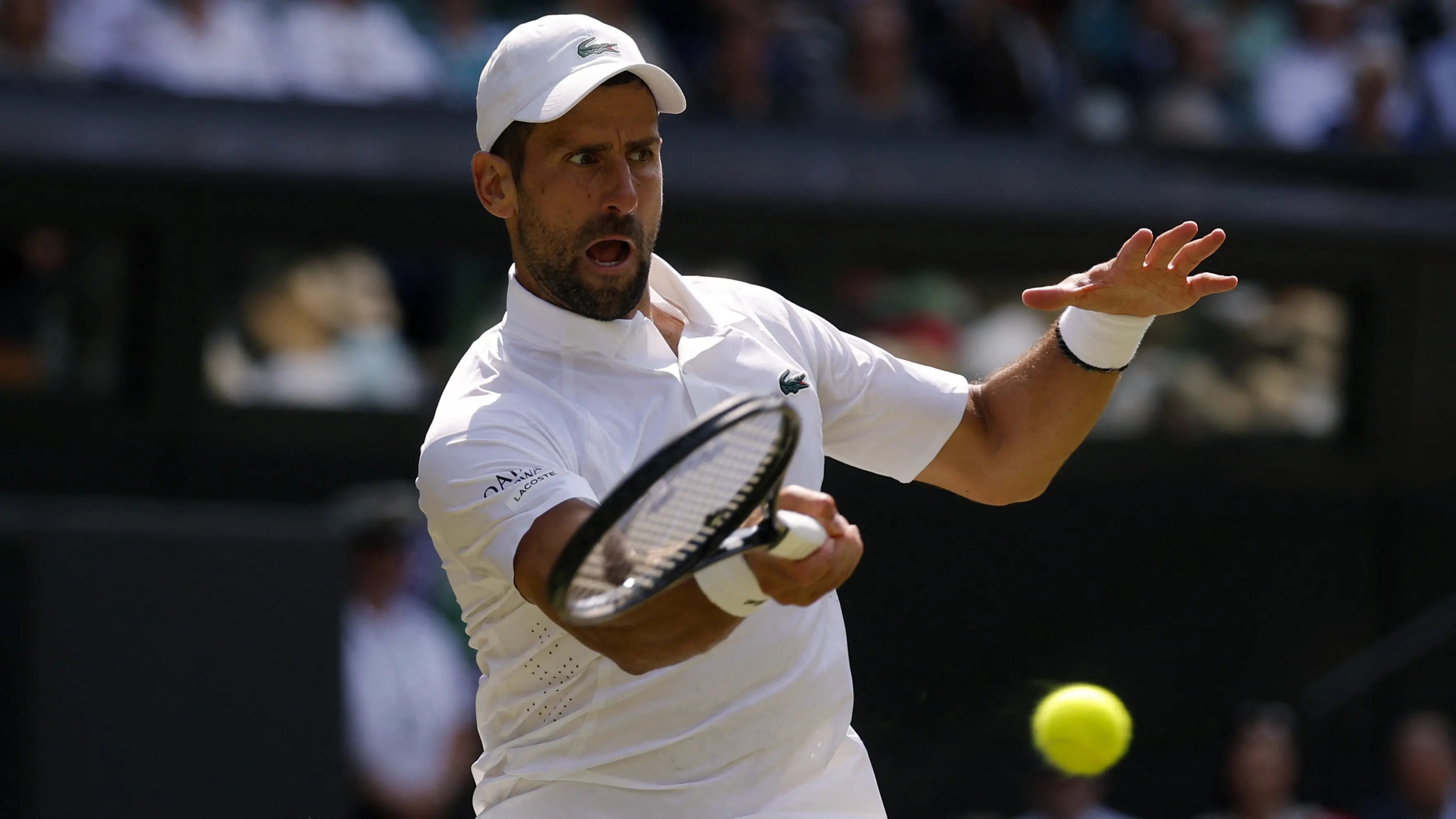 Djokovic ve Sinner, Wimbledon'da yoluna devam ediyor