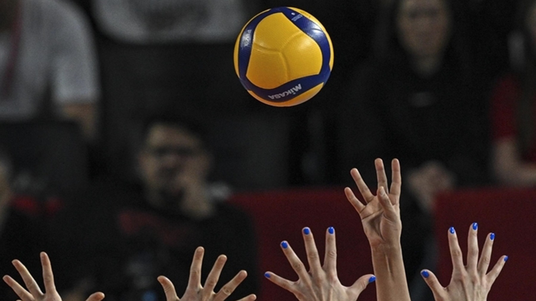 Sultanlar Ligi'nde derbi haftası: VakıfBank-Eczacıbaşı