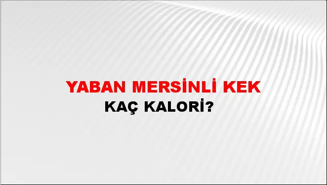 Yaban Mersinli Kek