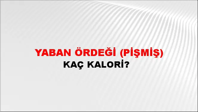 Yaban Ördeği (Pişmiş) Yaban Ördeği (Pişmiş)